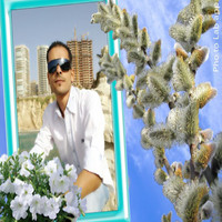 lozat mrad