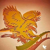 Mas ForeverLiving