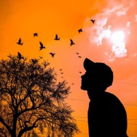 Tanvir Islam Parvez