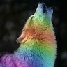 rainbow dash