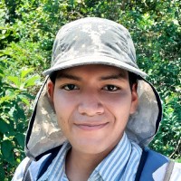 Bruno Marcelo More Valdivia