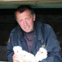 Bob Swann