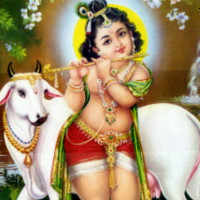 Gyan Tiwari