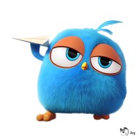 Z Jay