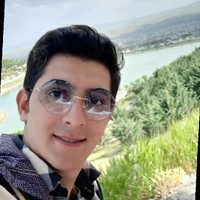 Mehdi Vaziri