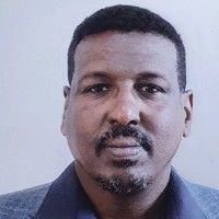 Abdelaseim Ahmed