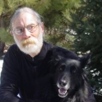 David J Swanlund