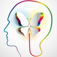Brain Up