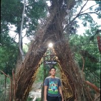 Hafidz Ardhi