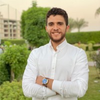 Ahmed Abdelmoety