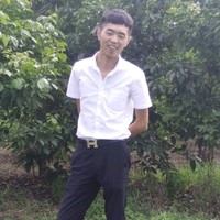 刘雨佳