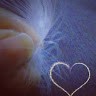 Anglelove Sharma
