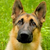 Test firstname Test lastname