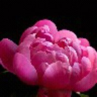 Kapil Choudhary