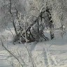 Anders Soderberg