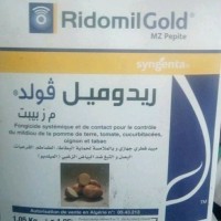 Khelifa Zitouni