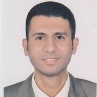 Fady Michel Ibrahim