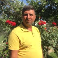 Mesut Çalışkan