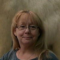 N91 Gamble, Pamela A Gamble