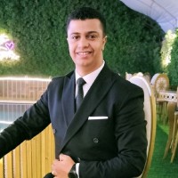Mohamed Mansour