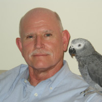 Mike Mcintire