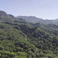 闫明伟