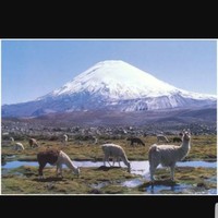 Jessica Guerreroguerrero