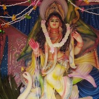 Deva Sarkar
