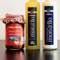 Anema and Food Excellences