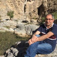 Hamid Javidi niroumand