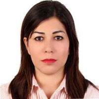 Sepideh B Mashhadi