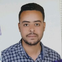 Mohamed Hassan Farouk