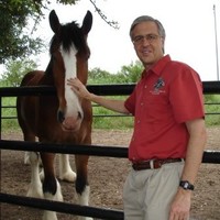 Robert Meister