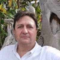 Daniel Cobas