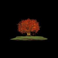 Jon A.I. Jon Alexander Morris