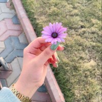 Hanane Nemer