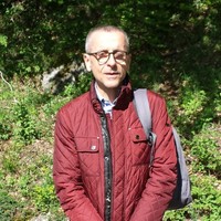 Vincenzo D'Ambrosio