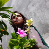 Deepshikha Y.