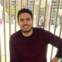 Hosam El-Sawy
