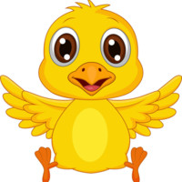 Chicken Chip Tv