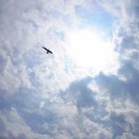 莫春英
