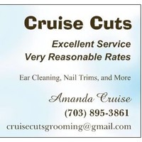 Amanda Cruise