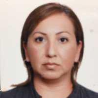Sonia M Aleman Moreno