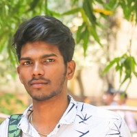 Selvaraj M