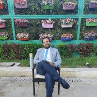 Hossam Salem
