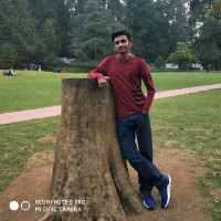 Sathiyanarayanan P