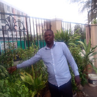 adebisi olanrewaju