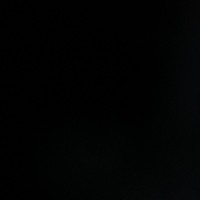 Shawn White