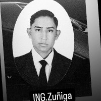 Luis Gustavo Zuñiga Mendoza