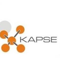 Kapse Consultants
